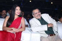 Disco Raja Pre Release Function